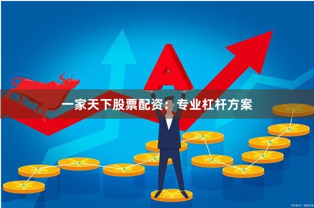 一家天下股票配资：专业杠杆方案